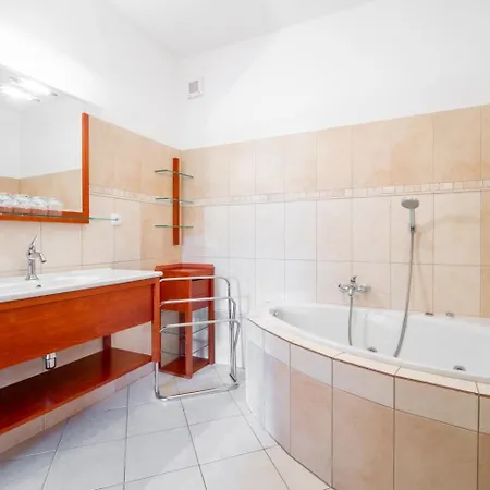Πανσιόν Pasacek Nove Mesto na Morave